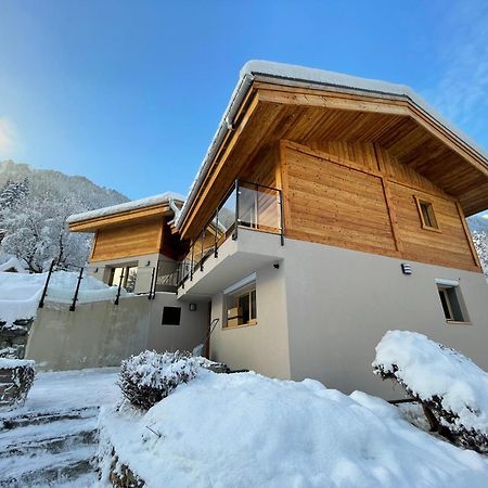 Chalet Le Point De Vue 霞慕尼 外观 照片