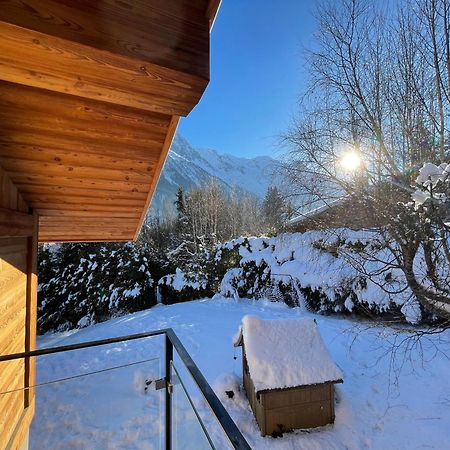 Chalet Le Point De Vue 霞慕尼 外观 照片