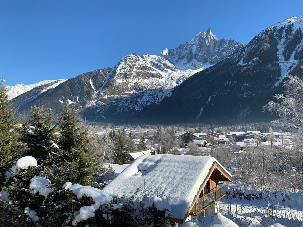Chalet Le Point De Vue 霞慕尼 外观 照片