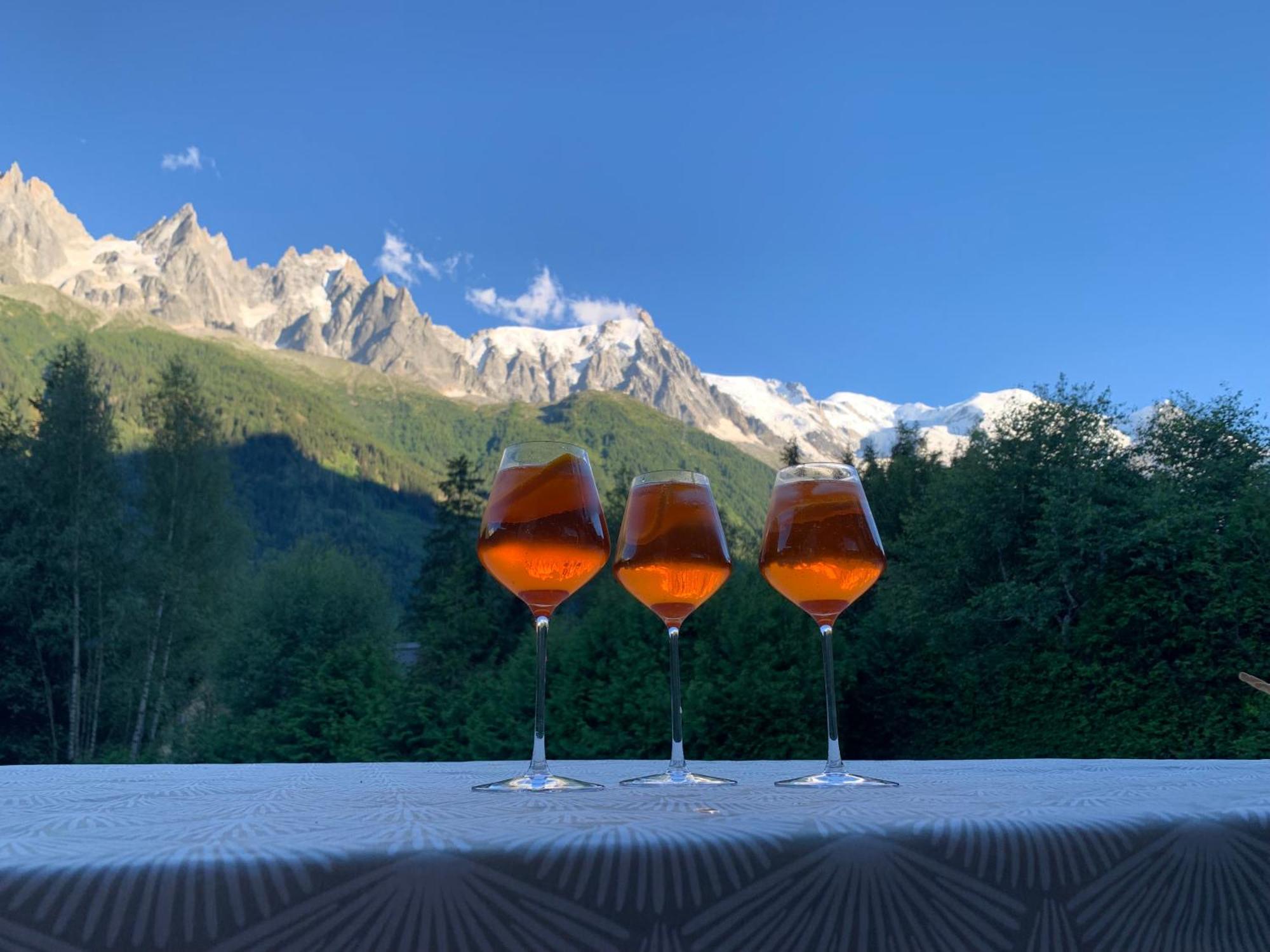 Chalet Le Point De Vue 霞慕尼 外观 照片