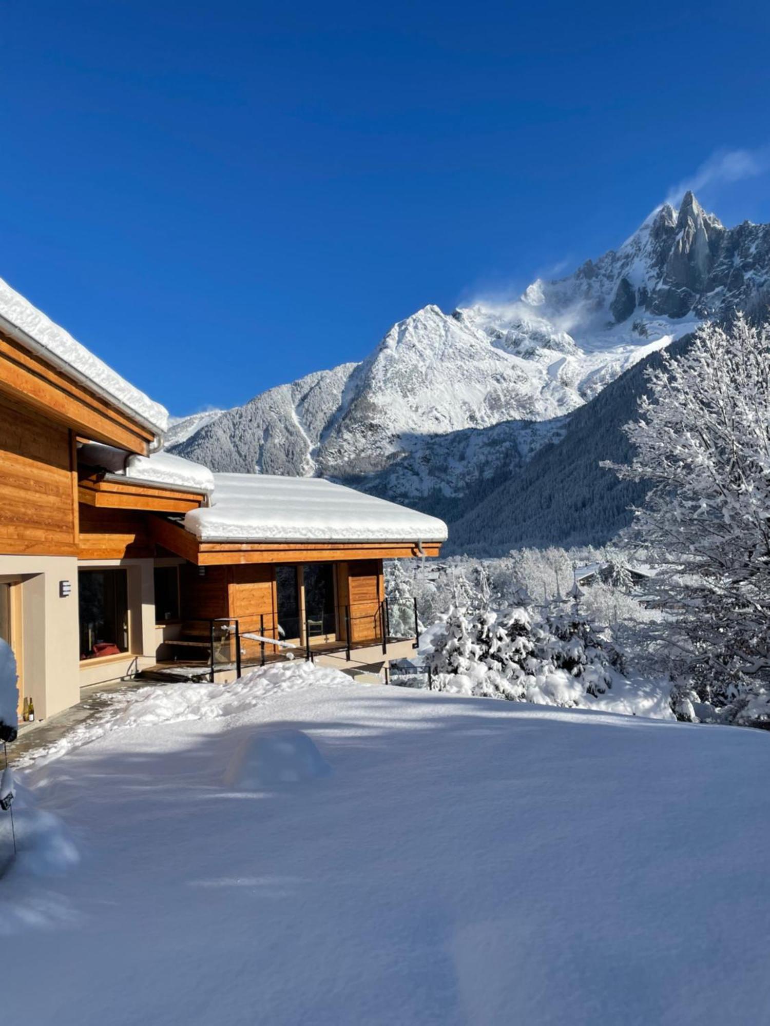Chalet Le Point De Vue 霞慕尼 外观 照片